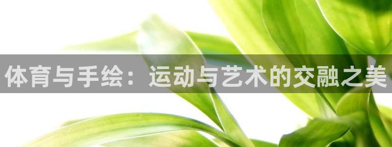 678体育官网：体育与手绘：运动与艺术的交融之美