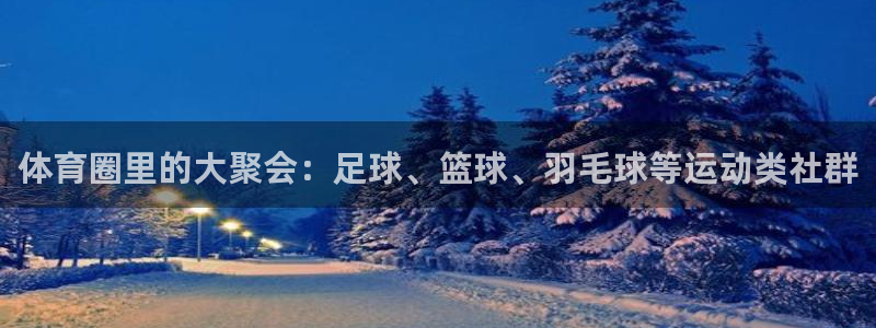 678体育官网：体育圈里的大聚会：足球、篮球、羽毛球等运动类社群