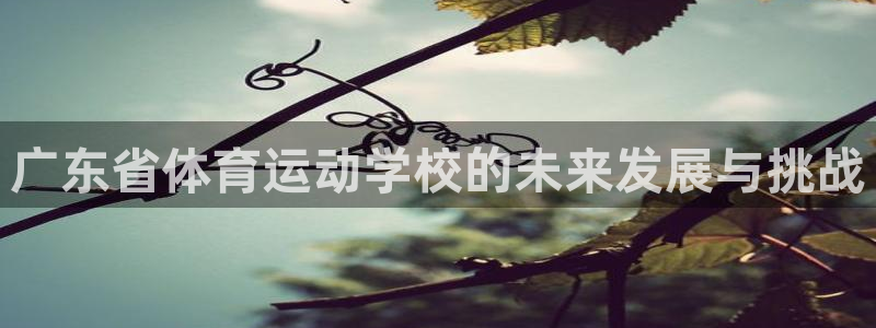 678体育知识：广东省体育运动学校的未来发展与挑战