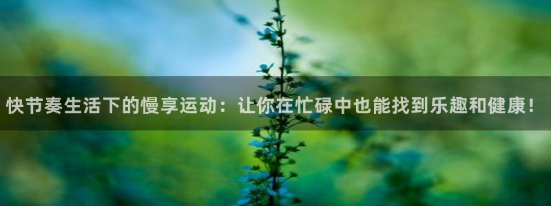 678体育知识：快节奏生活下的慢享运动：让你在忙碌中也能找到乐趣和健康！