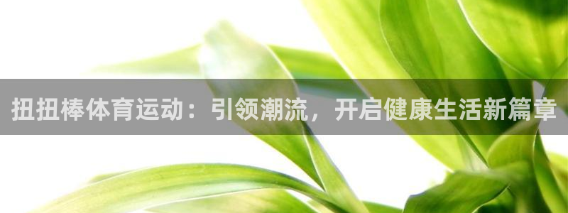 皇冠678体育：扭扭棒体育运动：引领潮流，开启健康生活新篇章