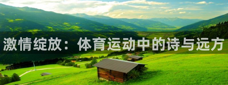 678体育：激情绽放：体育运动中的诗与远方