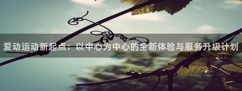 678体育知识：爱动运动新起点：以中心为中心的全新体验与服务升级计划