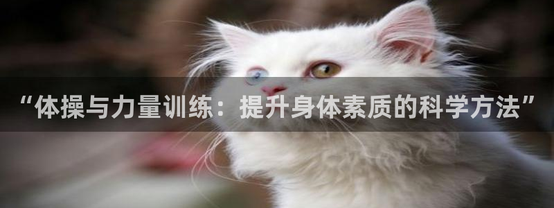 678体育app：“体操与力量训练：提升身体素质的科学方法”