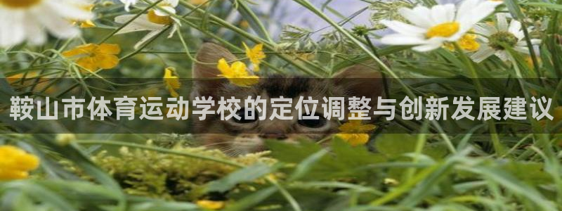 678体育知识：鞍山市体育运动学校的定位调整与创新发展建议