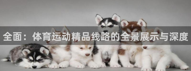 皇冠678体育：全面：体育运动精品线路的全景展示与深度